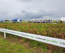 Semana de Campo reúne produtores de feijão e milho