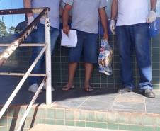 Servidores da Adapar doam alimentos a caminhoneiros