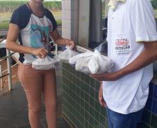 Servidores da Adapar doam alimentos a caminhoneiros