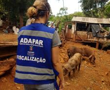 Adapar mantém ritmo para garantir status sanitário e alimentos