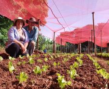 Investimento qualificado gera frutos para agricultores familiares