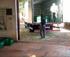 Agricultores adotam medidas de segurança