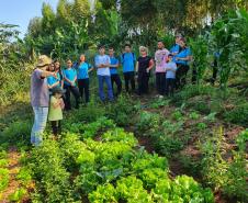 Tecnologia ajuda agricultura familiar a manter a venda de produtos