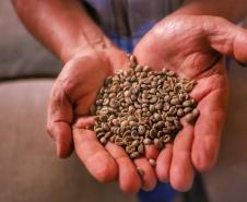 Concurso Café Qualidade Paraná abre período de inscrições