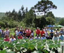 Projeto incrementa cadeia de hortifrútis e aumenta a renda de agricultores