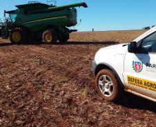 Ações de defesa vegetal garantem segurança alimentar na pandemia