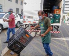 Curitiba - Santa Casa - Cooperativa de Produtores Orgânicos e de Produção Agroecológica (Coaopa)