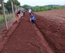 Moradores de Araruna ganham primeira Horta Comunitária