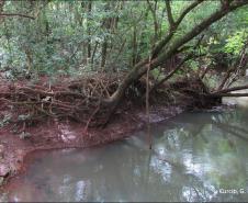 Processo erosivo em margem fluvial.