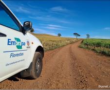 Carro na estrada