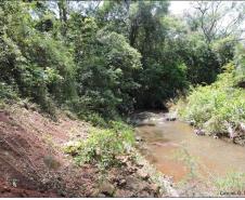 Margem alçada de rio constituída por Cambissolo Flúvico.