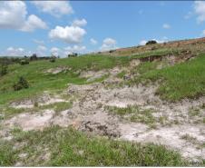 Erosão em área marginal fluvial em Planossolo Háplico.