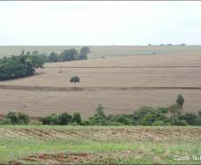 Sistema de produção agrícola em Latossolo Vermelho situado em encosta convexa-divergente.