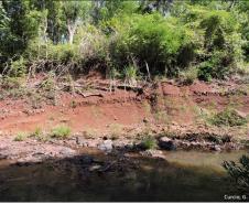 Linha de pedra formada por transborde fluvial em Cambissolo Flúvico.