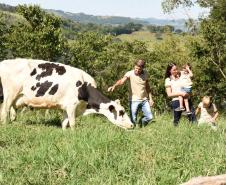 Queijo artesanal de Salgado Filho é o primeiro produto paranaense a receber o Selo Arte