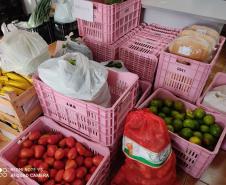 Associativismo e apoio do Governo fortalecem trabalho de agricultoras no Sudoeste