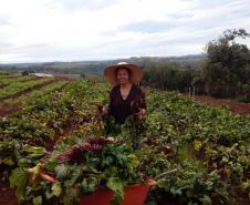 Associativismo e apoio do Governo fortalecem trabalho de agricultoras no Sudoeste