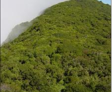 Serra do Mar Paranaense.