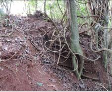 Floresta ciliar oferecendo baixa proteção aos cursos d´água.