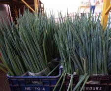 Compra Direta contribui para alimentação saudável e geração de renda no campo em Paranavaí