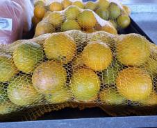 Compra Direta contribui para alimentação saudável e geração de renda no campo em Paranavaí