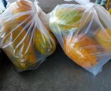 Compra Direta contribui para alimentação saudável e geração de renda no campo em Paranavaí