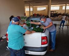 Compra Direta contribui para alimentação saudável e geração de renda no campo em Paranavaí