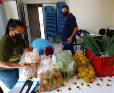 Compra Direta contribui para alimentação saudável e geração de renda no campo em Paranavaí