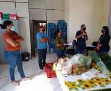 Compra Direta contribui para alimentação saudável e geração de renda no campo em Paranavaí