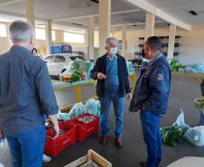 Compra Direta contribui para alimentação saudável e geração de renda no campo em Paranavaí