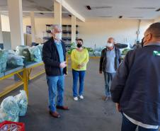 Compra Direta contribui para alimentação saudável e geração de renda no campo em Paranavaí