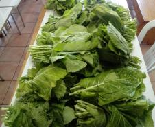 Compra Direta contribui para alimentação saudável e geração de renda no campo em Paranavaí