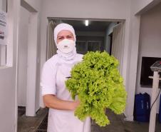 Chefe do Desan visita Toledo e conhece iniciativas locais de Segurança Alimentar