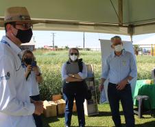 Paraná ganha programa para fomentar cultivo de cereais de inverno