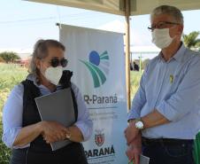 Paraná ganha programa para fomentar cultivo de cereais de inverno