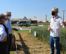 Paraná ganha programa para fomentar cultivo de cereais de inverno