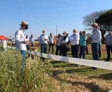 Paraná ganha programa para fomentar cultivo de cereais de inverno