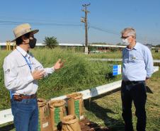 Paraná ganha programa para fomentar cultivo de cereais de inverno