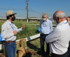 Paraná ganha programa para fomentar cultivo de cereais de inverno