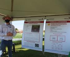 Paraná ganha programa para fomentar cultivo de cereais de inverno