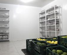 IDR-Paraná inaugura viveiro em Santa Tereza do Oeste para melhorar produção de uva