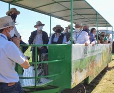 IDR-Paraná inaugura viveiro em Santa Tereza do Oeste para melhorar produção de uva