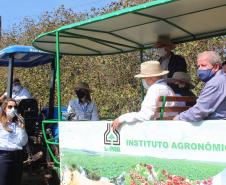 IDR-Paraná inaugura viveiro em Santa Tereza do Oeste para melhorar produção de uva