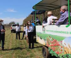 IDR-Paraná inaugura viveiro em Santa Tereza do Oeste para melhorar produção de uva