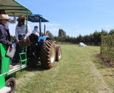 IDR-Paraná inaugura viveiro em Santa Tereza do Oeste para melhorar produção de uva