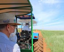 IDR-Paraná inaugura viveiro em Santa Tereza do Oeste para melhorar produção de uva