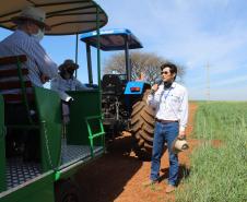 IDR-Paraná inaugura viveiro em Santa Tereza do Oeste para melhorar produção de uva