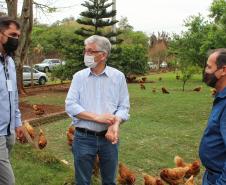 Agroindústrias do Vale do Ivaí ganham impulso com apoio do governo