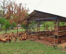 Agroindústrias do Vale do Ivaí ganham impulso com apoio do governo