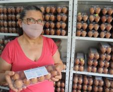 Agroindústrias do Vale do Ivaí ganham impulso com apoio do governo